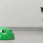 _vyrp11_1527cica-jatek