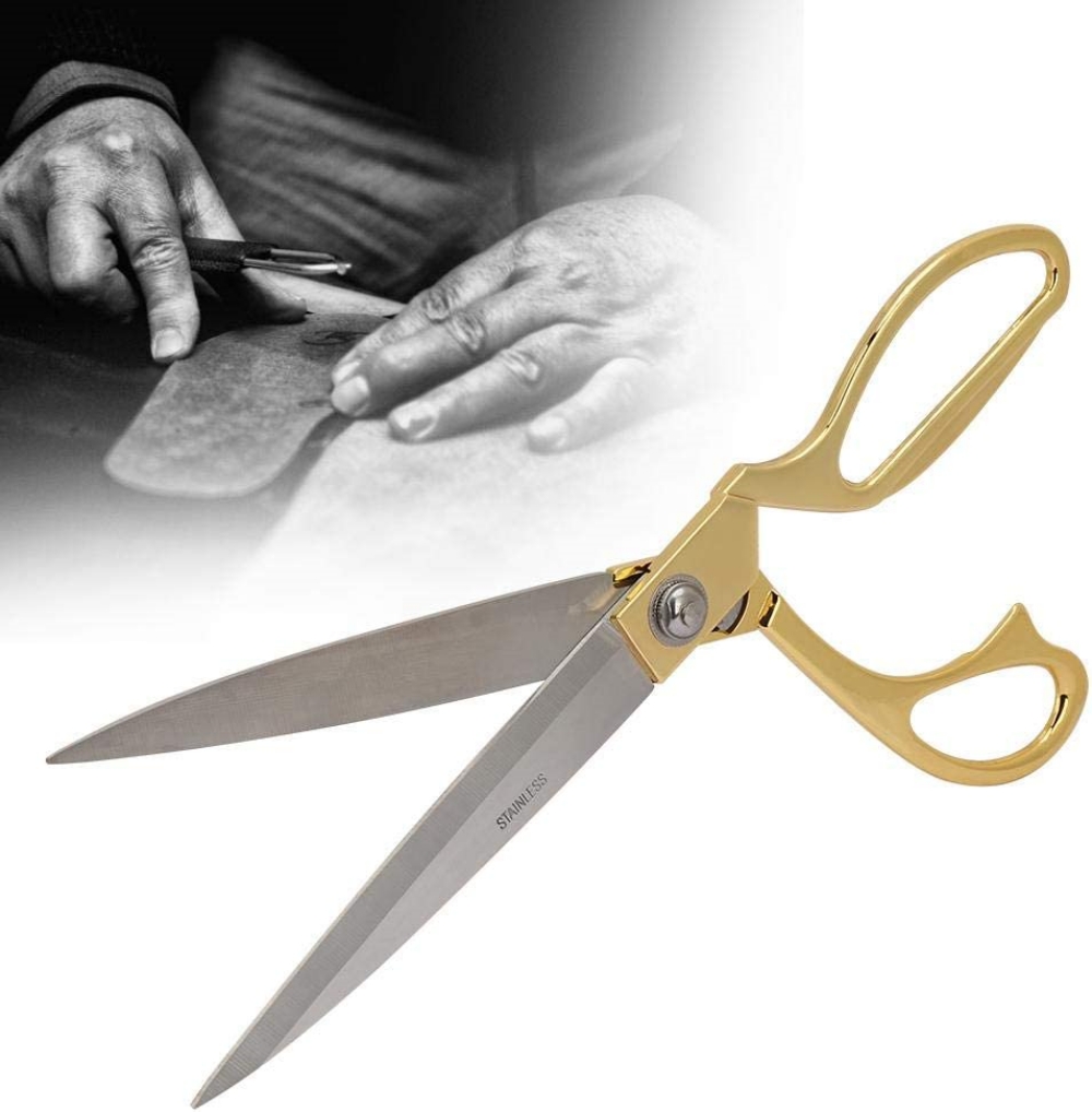 51jOTCSFwYL._AC_SL1001_