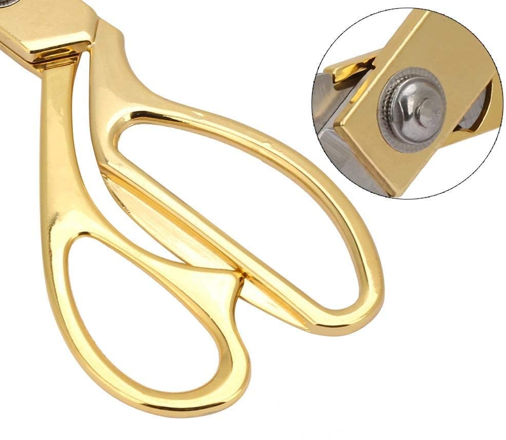 61ghjhsTCyL._AC_SL1001_