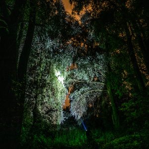 856 multifunkciós LED kézilámpa brutál fényerővel, 3 világítási móddal és IP44 vízálló vázzal - 500 méter hatótáv, power bank funkció (BBV) - Image 5