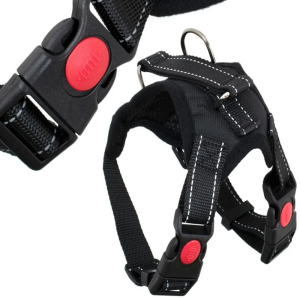 Állítható sétahám kutyáknak és macskáknak – nyomásmentes, M méret (BBI-5623)2